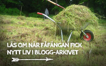 Fåfängans blogg arkiv.